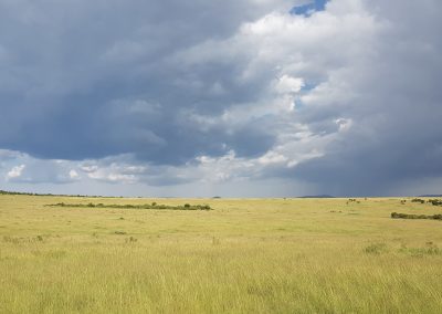 Massai Mara