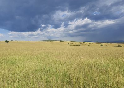 Masai Mara